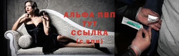 спайс Бородино