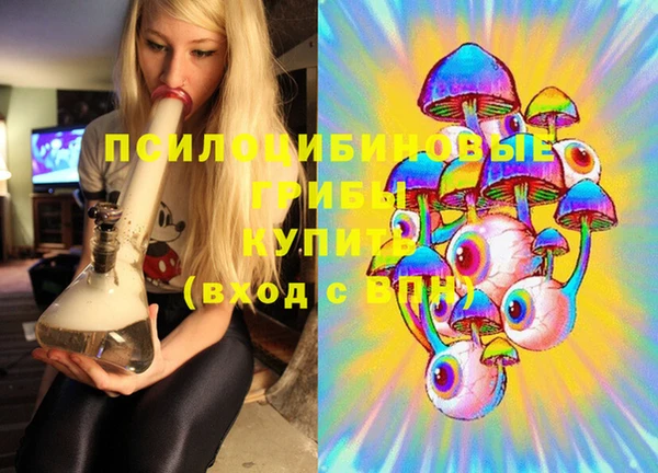 спайс Бородино