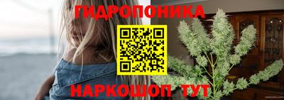 гидра Кимры