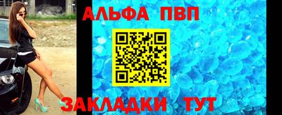 jwh Кингисепп