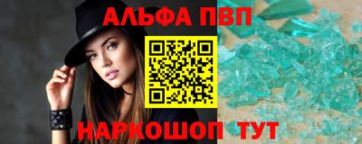 jwh Кингисепп