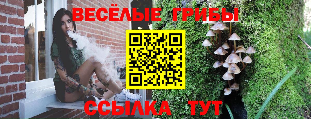 Кузнецк  Псилоцибиновые грибы ЛСД  Вход с VPN 